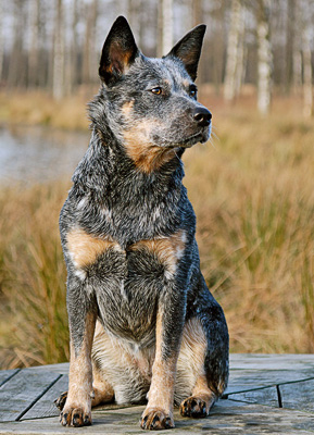 080210_Caisa_Fulltofta_7024_DxO_RAW