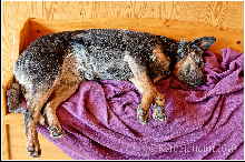 100307_Caisasoft_001dxo