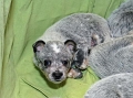 110120_Valpar_003