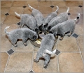 110120_Valpar_005