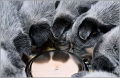 110120_Valpar_007