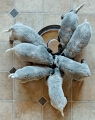 110120_Valpar_0082