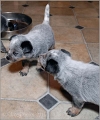 110120_Valpar_009