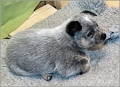 110120_Valpar_012