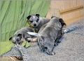 110120_Valpar_016