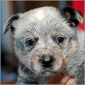 110120_Valpar_020