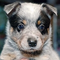 110120_Valpar_028