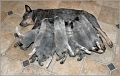 110120_Valpar_049-2